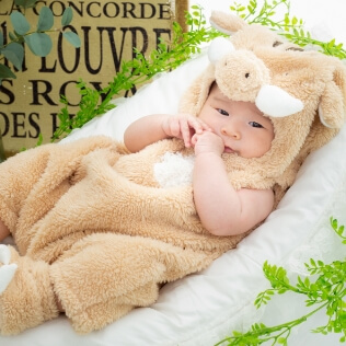 イノシシの衣裳を着た赤ちゃんのイメージ（サムネイル）