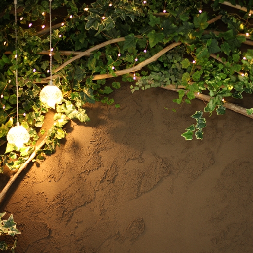モルタルの壁に可愛らしいライトが2つと植物のツルが飾られているスタジオ