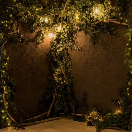 モルタルの壁に洋風の照明や観葉植物がありおしゃれなスタジオ